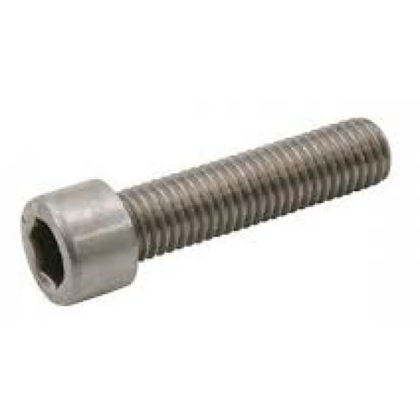 Bofix Inbusbout m6X30 RVS 214212 per stuk Zilver