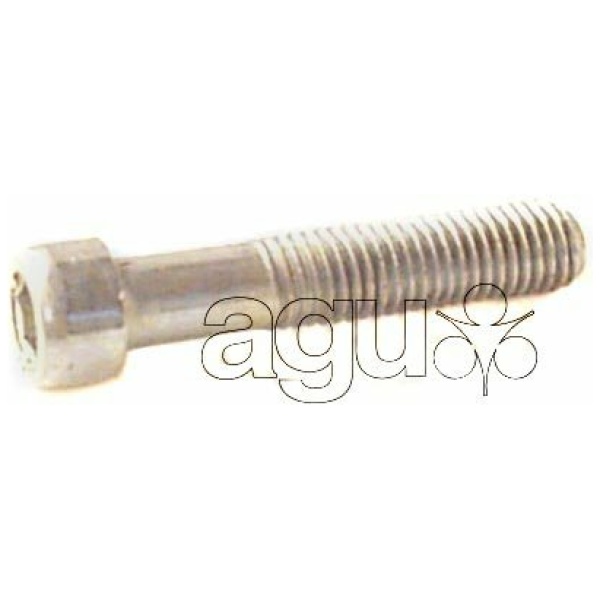 Bofix 214625 Inbusbout m6X25 per stuk Zilver