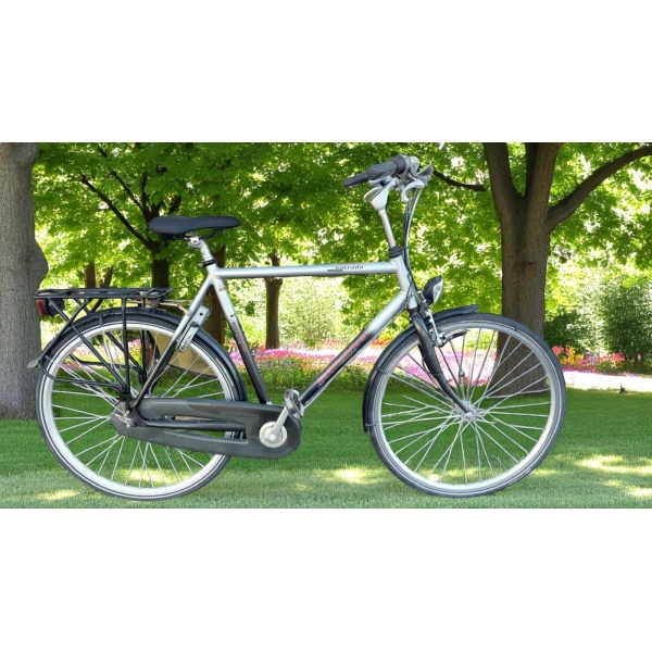 Batavus Entrada Nexus 7 Handrem Rollerbrake Grijs / Zilver Heren
