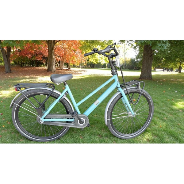 Cortina Urban Nexus R3 Remnaaf Blauw Dames
