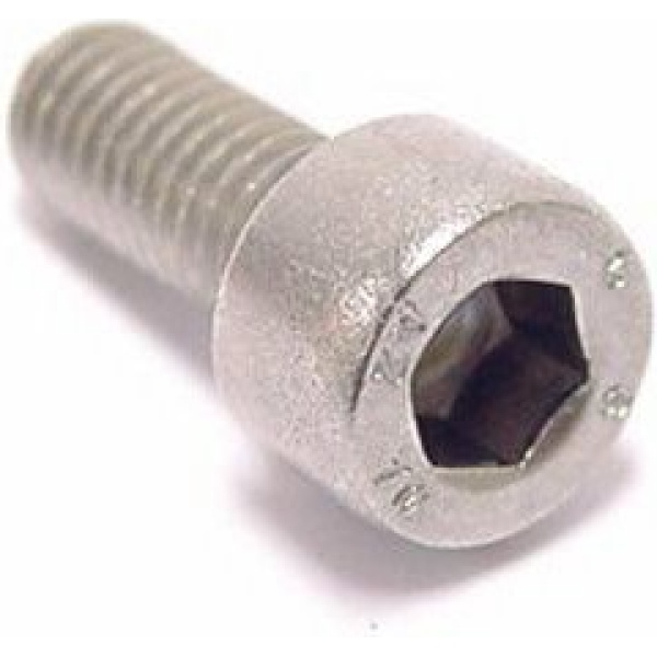Bofix Inbusbout M5x10 RVS (Bidon) p.s.t Zilver - Afbeelding 2