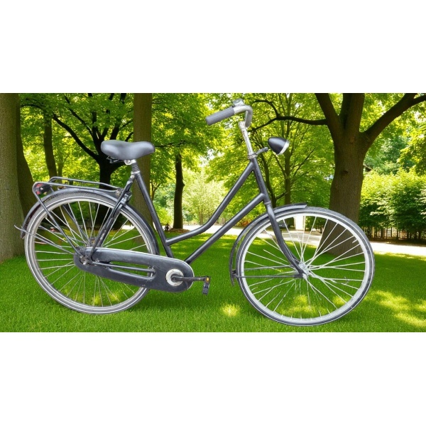 Classic Shimano Remnaaf Zwart Dames