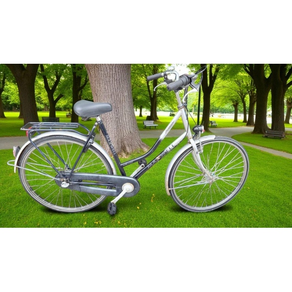 Maxwell Richmond Nexus 3 Handrem Zilver / Zwart Dames