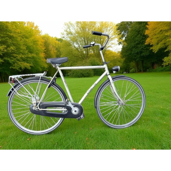 Union Flamingo Shimano Remnaaf Grijs Heren