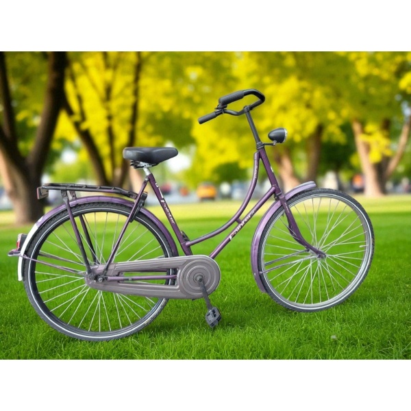 Pointer Glorie Omafiets KT Remnaaf Paars Dames