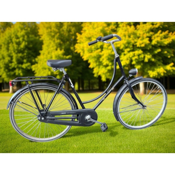 Batavus Favorit Shimano Remnaaf Zwart Dames
