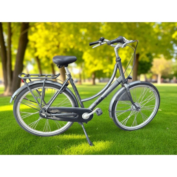 Batavus Block Nexus 7 Handrem Naafdynamo Grijs Dames
